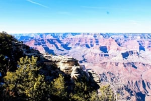 Las Vegas: Excursión en autobús al Borde Sur del Parque Nacional del Gran Cañón