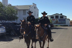 Las Vegas: Prywatna wycieczka po zaporze Hoovera z opcjonalną wycieczką po generatorze