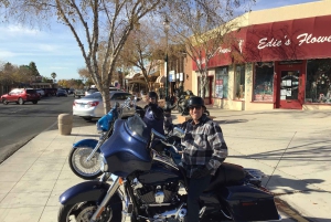 Las Vegas: Prywatna wycieczka po zaporze Hoovera z opcjonalną wycieczką po generatorze