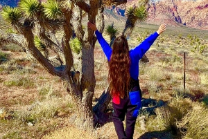 Las Vegas: Private Red Rock Canyon Guided Driving Adventure