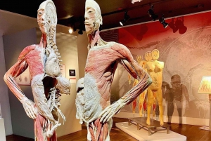 Las Vegas: REAL BODIES at Bally's Entry Ticket