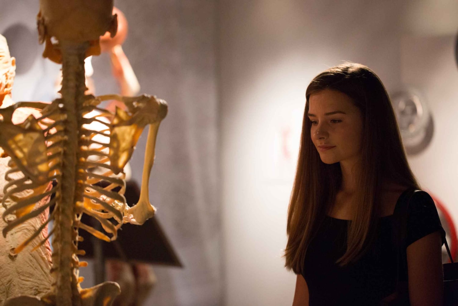 Las Vegas: REAL BODIES på Horseshoe Las Vegas Inngangsbillett