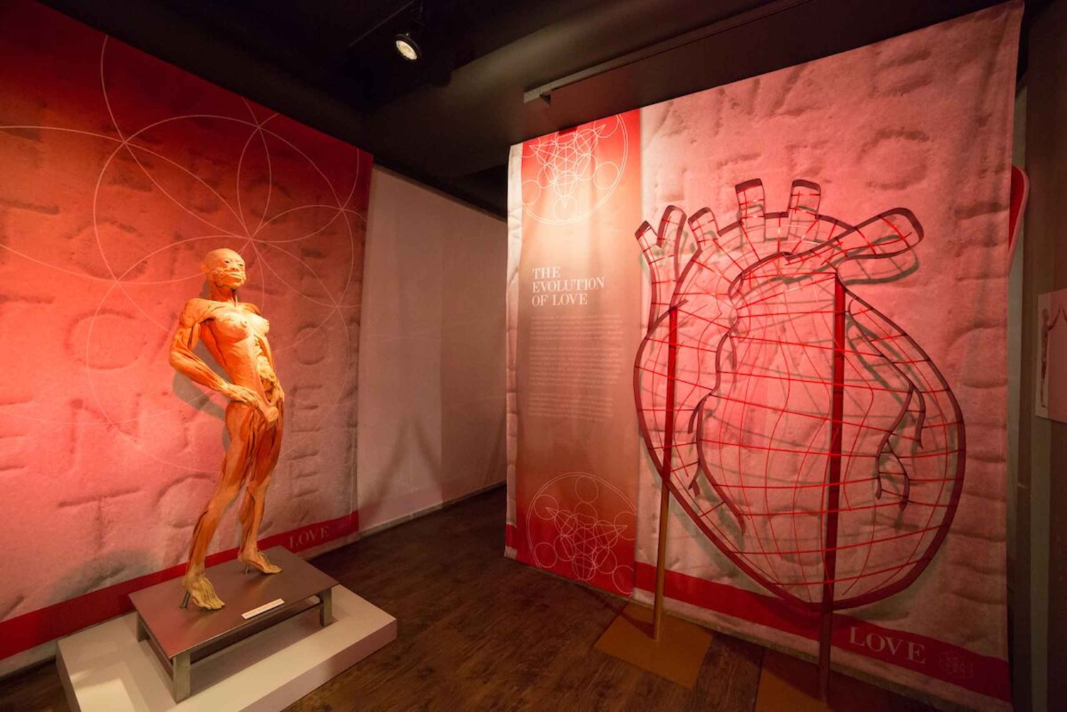 Las Vegas: REAL BODIES på Horseshoe Las Vegas Inngangsbillett