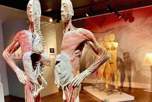 Las Vegas: REAL BODIES på Horseshoe Las Vegas Inngangsbillett