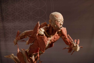 Las Vegas: REAL BODIES på Horseshoe Las Vegas Inngangsbillett