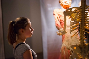 Las Vegas: REAL BODIES på Horseshoe Las Vegas Inngangsbillett