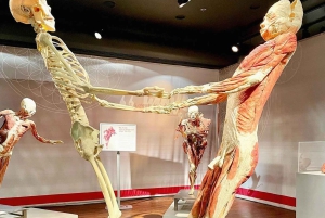 Las Vegas: REAL BODIES på Horseshoe Las Vegas Inngangsbillett