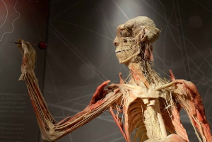 Las Vegas: REAL BODIES på Horseshoe Las Vegas Inngangsbillett