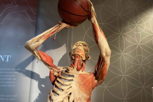 Las Vegas: REAL BODIES på Horseshoe Las Vegas Inngangsbillett