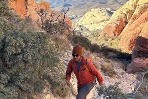 Las Vegas: Caminhada guiada pelo Red Rock Canyon com serviço de busca