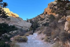 Las Vegas: Caminhada guiada pelo Red Rock Canyon com serviço de busca