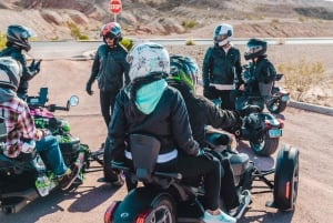 Red Rock Canyon: Private geführte Trike Tour!