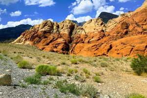 Las Vegas: Red Rock Canyon e l'estroso Cactus Joe's + Pranzo