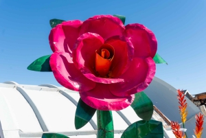 Las Vegas: Red Rock Canyon e l'estroso Cactus Joe's + Pranzo