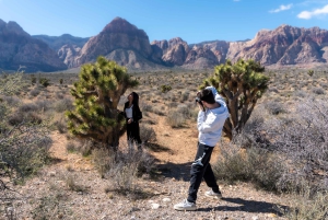 Las Vegas: Red Rock Canyon e l'estroso Cactus Joe's + Pranzo