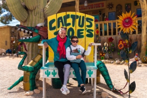 Las Vegas: Red Rock Canyon e l'estroso Cactus Joe's + Pranzo