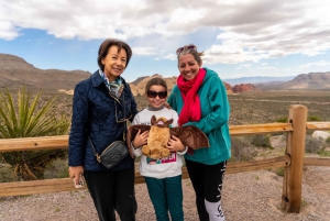 Las Vegas: Red Rock Canyon e l'estroso Cactus Joe's + Pranzo