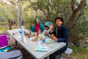 Las Vegas: Red Rock Canyon e l'estroso Cactus Joe's + Pranzo