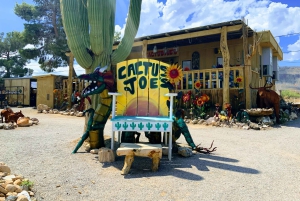 Las Vegas: Red Rock Canyon e l'estroso Cactus Joe's + Pranzo