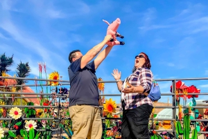 Las Vegas: Red Rock Canyon e l'estroso Cactus Joe's + Pranzo