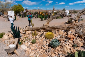 Las Vegas: Red Rock Canyon e l'estroso Cactus Joe's + Pranzo