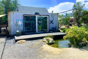 Las Vegas: Red Rock Canyon e l'estroso Cactus Joe's + Pranzo