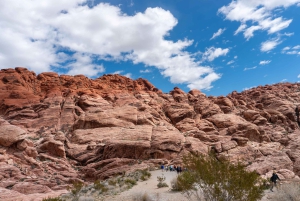 Las Vegas: Red Rock Canyon e l'estroso Cactus Joe's + Pranzo