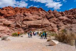Las Vegas: Red Rock Canyon e l'estroso Cactus Joe's + Pranzo
