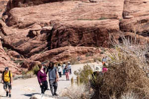 Las Vegas: Red Rock Canyon e l'estroso Cactus Joe's + Pranzo