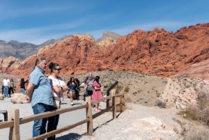 Las Vegas: Red Rock Canyon e l'estroso Cactus Joe's + Pranzo