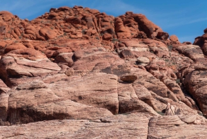 Las Vegas: Red Rock Canyon e l'estroso Cactus Joe's + Pranzo