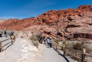 Las Vegas: Red Rock Canyon e l'estroso Cactus Joe's + Pranzo