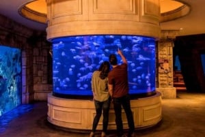 Las Vegas: Inngangsbillett til Shark Reef Aquarium & VR Experience