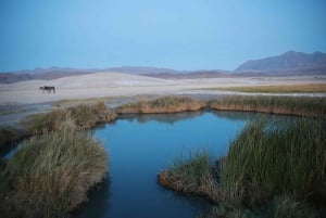 ラスベガスデスバレー近くの天然温泉に浸かる