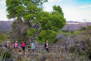 Las Vegas: Vandring og happy hour på Spring Mountain Ranch