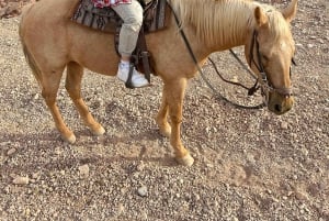 Las Vegas: Sunset Horseback Riding Tour with BBQ Dinner