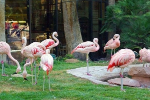 Las Vegas: The Venetian to Bellagio Walking Tour