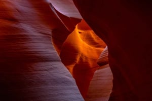 Las Vegas: till Salt Lake City 5-dagars Yellowstone VIP-tur