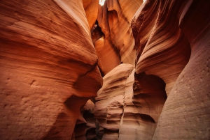 Las Vegas: till Salt Lake City 5-dagars Yellowstone VIP-tur
