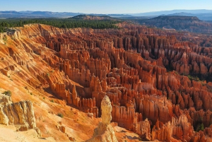 Las Vegas: till Salt Lake City 5-dagars Yellowstone VIP-tur