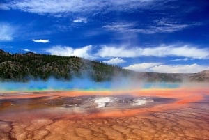 Las Vegas: till Salt Lake City 5-dagars Yellowstone VIP-tur