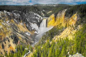 Las Vegas: till Salt Lake City 5-dagars Yellowstone VIP-tur