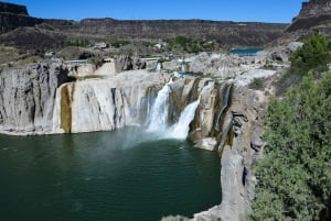 Las Vegas: till Salt Lake City 5-dagars Yellowstone VIP-tur