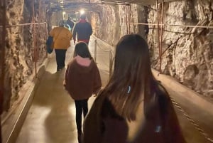 Las Vegas: Tunnel and Power Plant Tour, Hoover Dam in Spanish