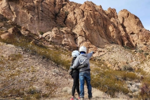 Las Vegas: Ultimate Adventure RZR Tour z lunchem