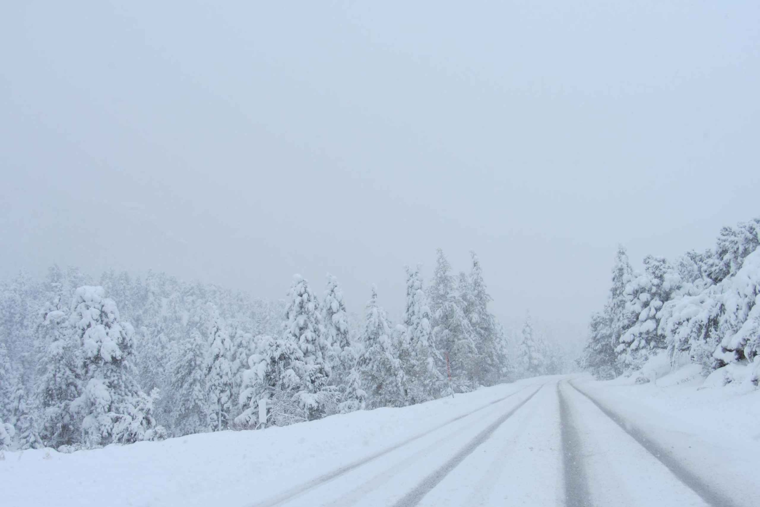 Las Vegas: niesamowita przygoda na śniegu na Mount Charleston