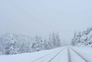 Las Vegas: niesamowita przygoda na śniegu na Mount Charleston