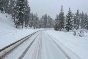 Las Vegas: niesamowita przygoda na śniegu na Mount Charleston