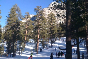 Las Vegas: niesamowita przygoda na śniegu na Mount Charleston