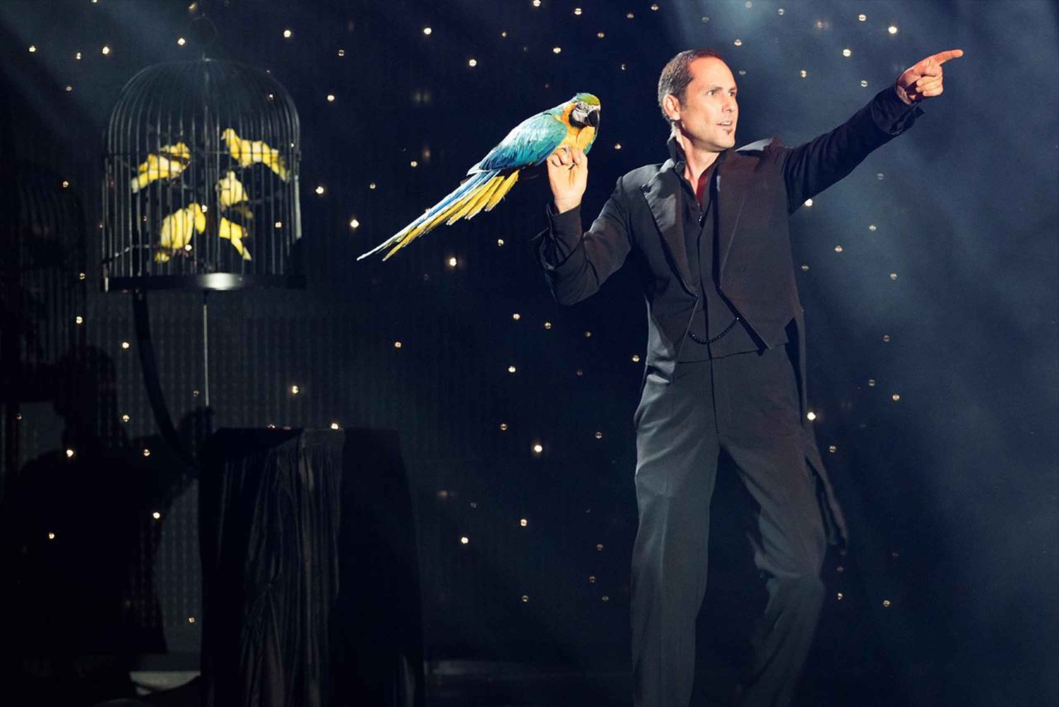 Las Vegas: V The Ultimate Variety Show